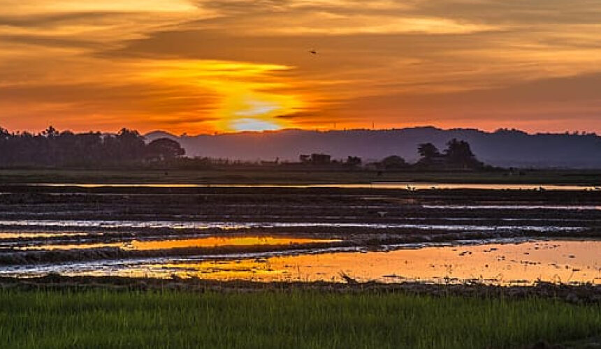 Comprehensive Trip To Assam | 9D – 8N