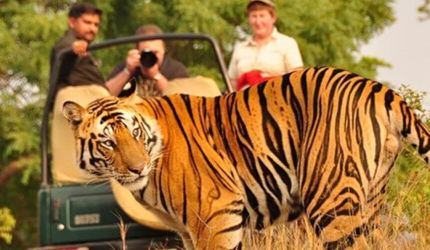 Jharkhand Wildlife Safari | 4D – 3N
