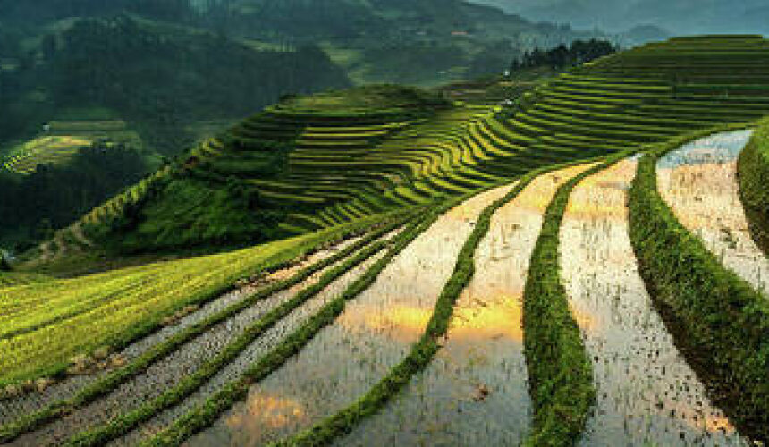 Assam Tour | 5D – 4N
